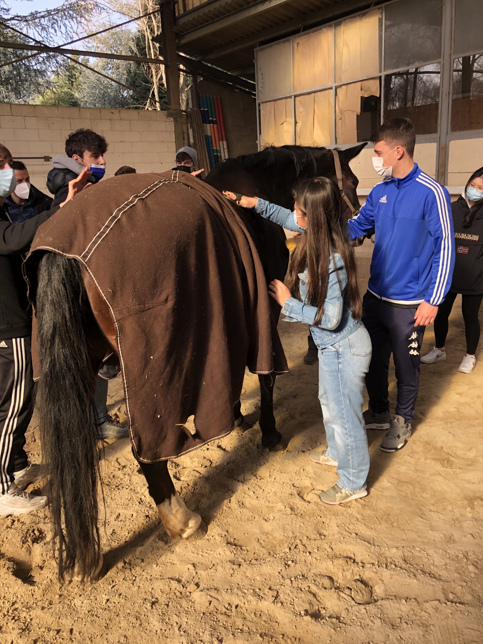 equitazione labor6