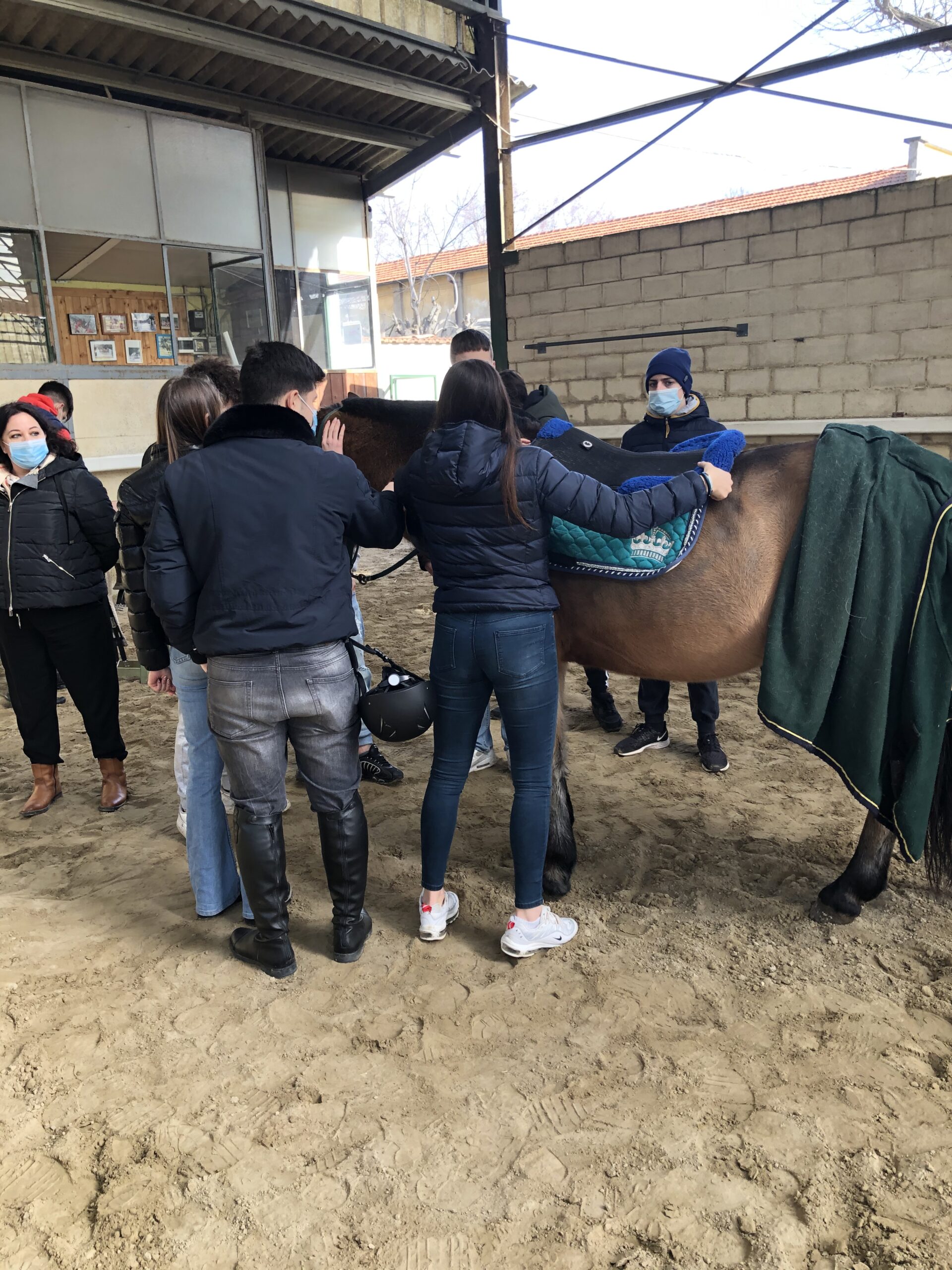 equitazione labor5