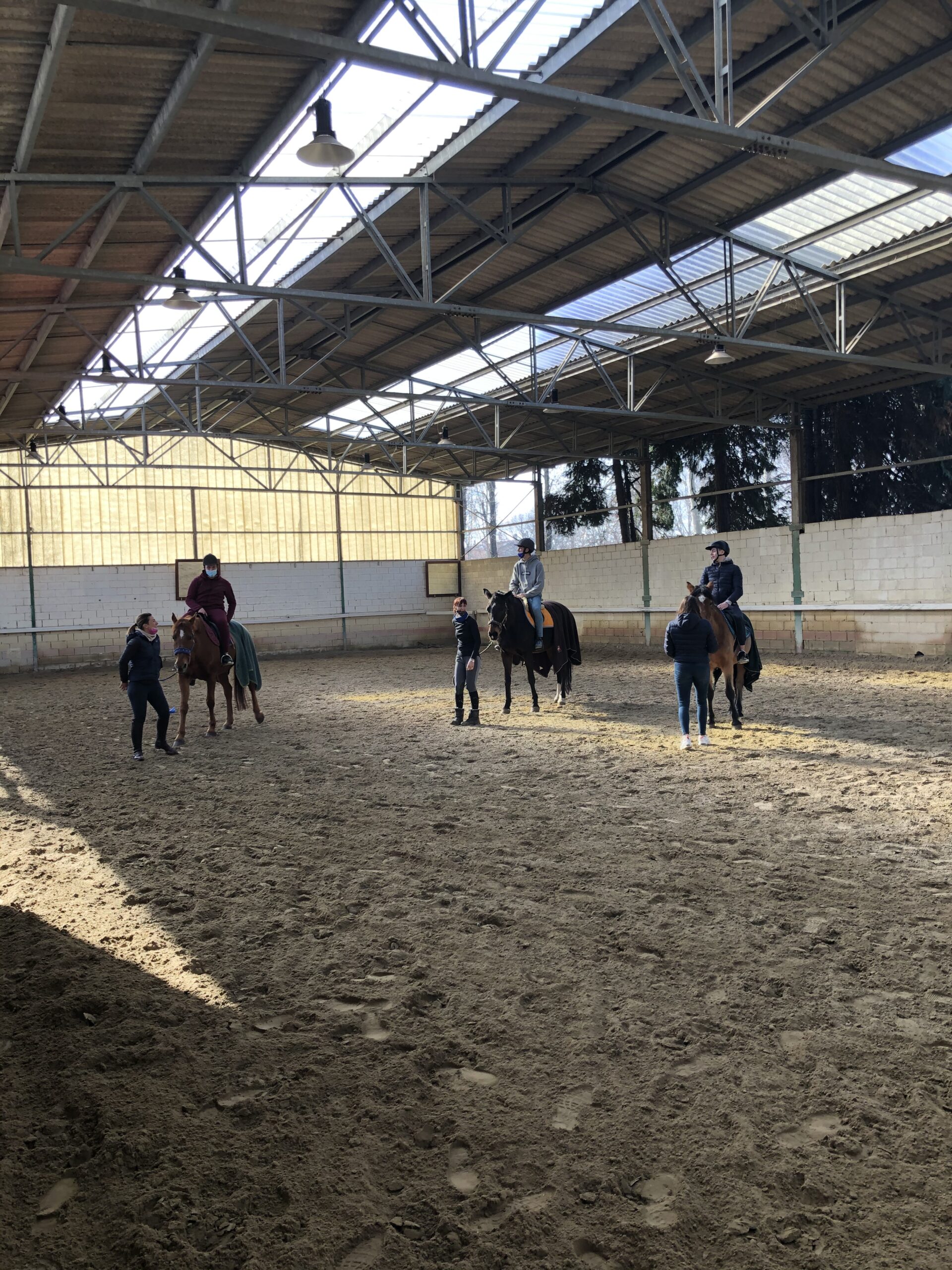 equitazione labor6