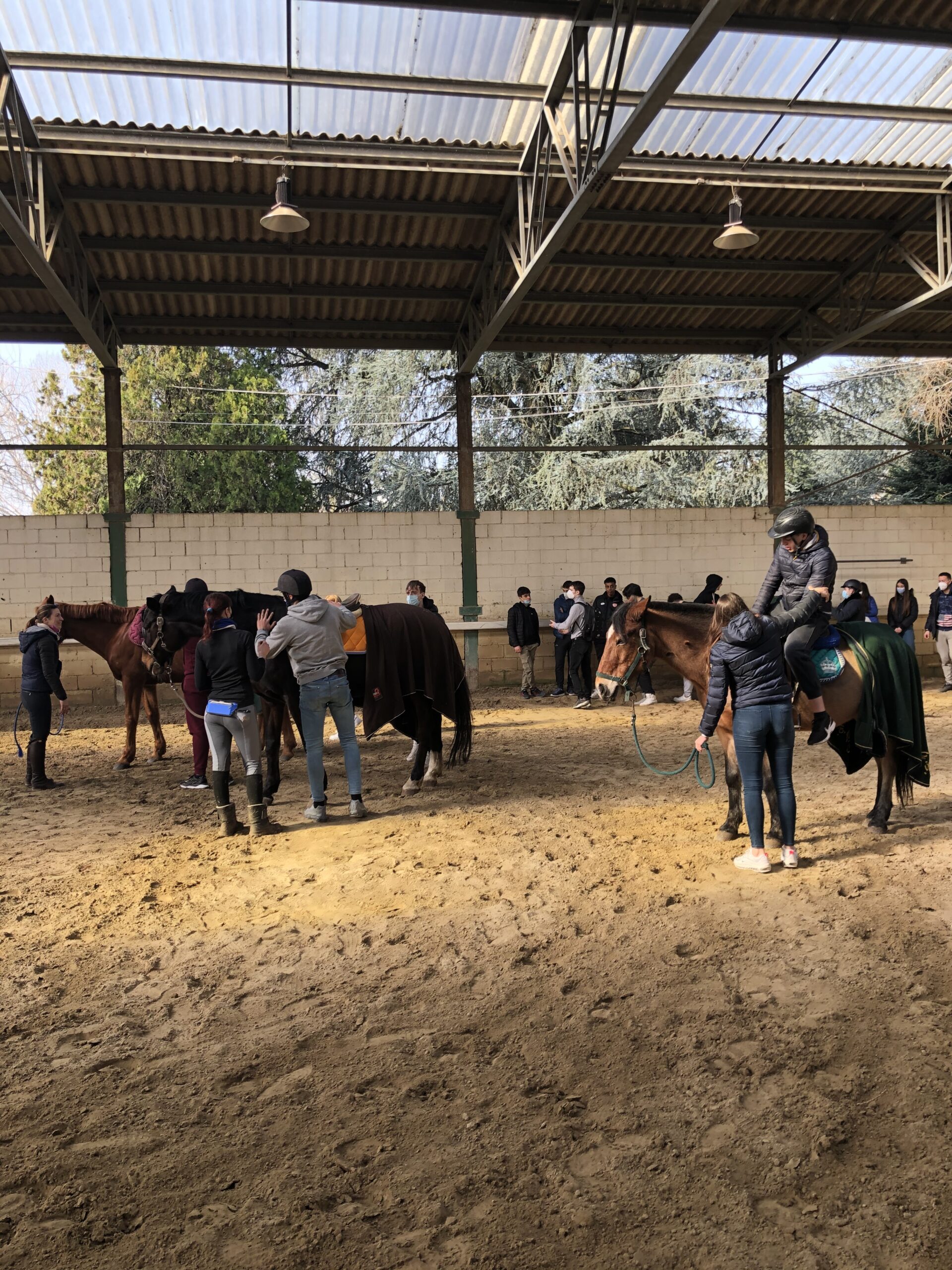equitazione labor