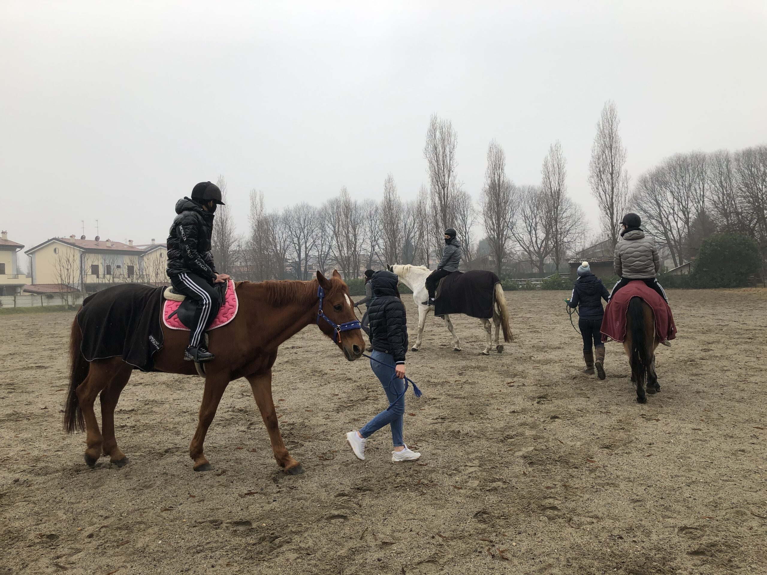 equitazione labor4